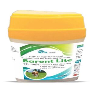 BARENTLITE Nutritional supplement for Pregnants