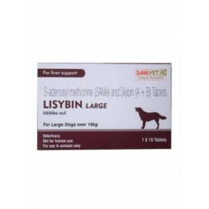 LISYBIN LARGE